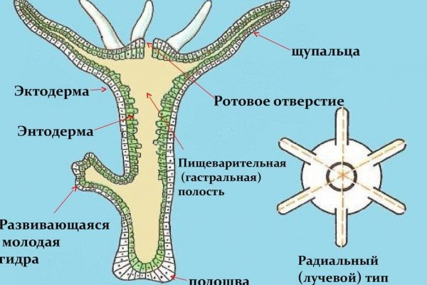 Кракен купить мефедрон