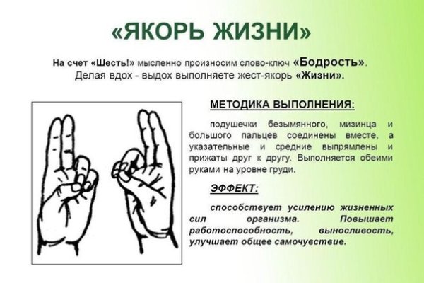 Ссылка в магазин на кракен